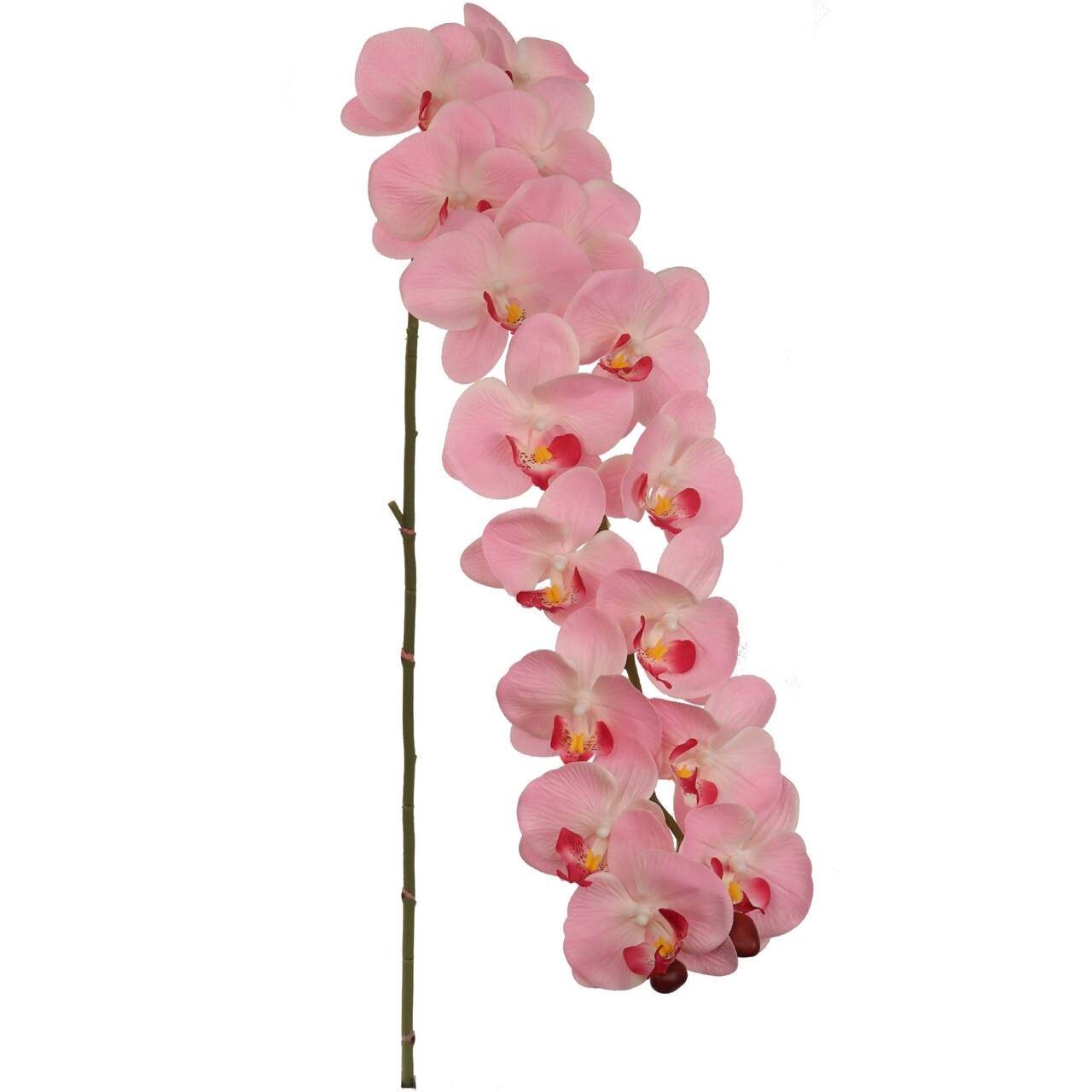 49-Inch Artificial Phalaenopsis Orchid Stem — 16 Silk Blooms, Realistic Faux Flower for Tall Vases, Console Displays & Elegant Home Decor | Floral Home